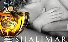 anteprima Shalimar di Guerlain