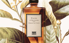 anteprima Fleurs D Oranger di Serge Lutens