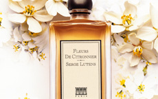 anteprima Fleurs de Citronnier di Serge Lutens