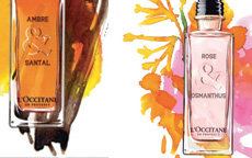 fragranze occitane